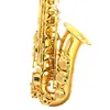 /product-detail/gold-lacquer-brass-alto-instrument-accessories-professional-eb-oem-china-sax-saxophone-alto-62430211372.html