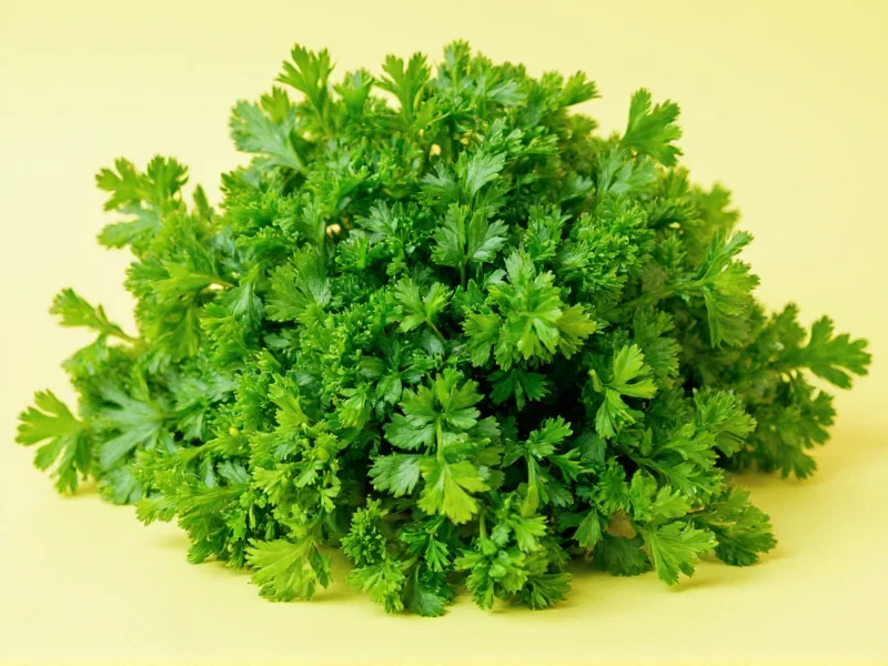 Parsley vs Coriander: Are They the Same Herb? (Clear Answer)