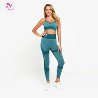 

Active wear sports seamless womens gym wear yoga sets fitness
