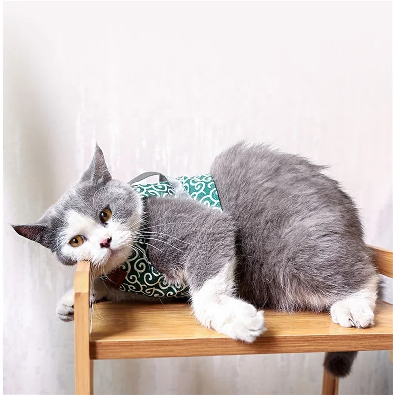 

Cat Harness And Leash Set Adjustable Vest Leashes For Cats Outdoor Walking Breathable Mesh Harness For Pet Cat Dog, Multi