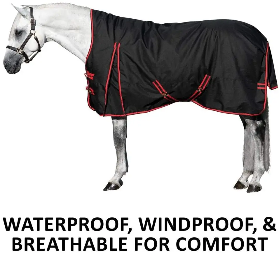 
Horse Blankets R1 Promotion Horse Blankets 