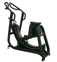 

2019 Professional Commercial Gym Equipment Curl Step Elliptical Cross Trainer High Leg Lifts Machine (AG-160)