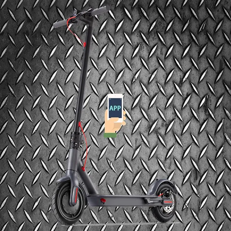 

2021 patrol scooty scuter listrik patinete electrico 350W 10.4ah cheap price fast shipping scooty