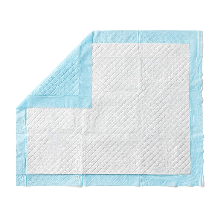 

Economical Custom Waterproof Mat Training Pads for Dog