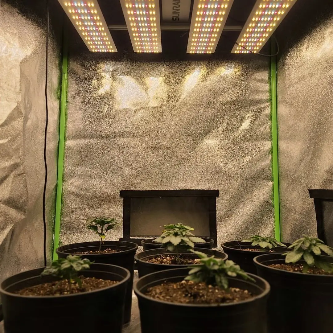 

US Canada Stock QB2000 4x6 4x4 Yields up to 4 Lbs Lm301h Lm301b Dimmable Full Spectrum LED Grow Light