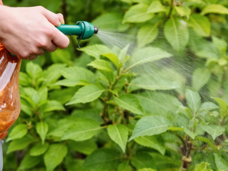 Homemade bug spray being sprayed on plants