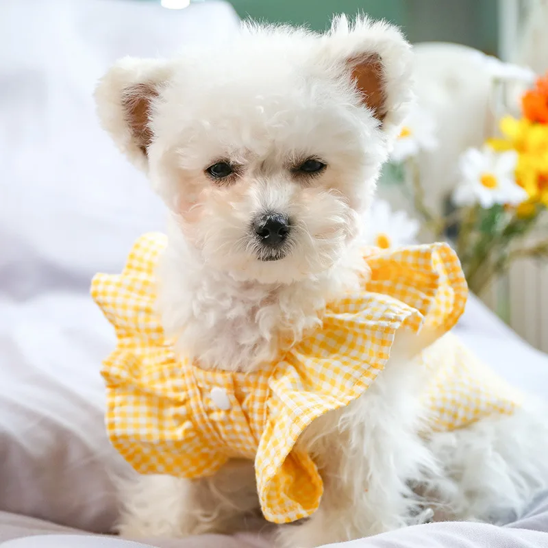 

2021 summer Hot sale new type pet clothes thin bow grid lovely dog t shirt, Yellow, red