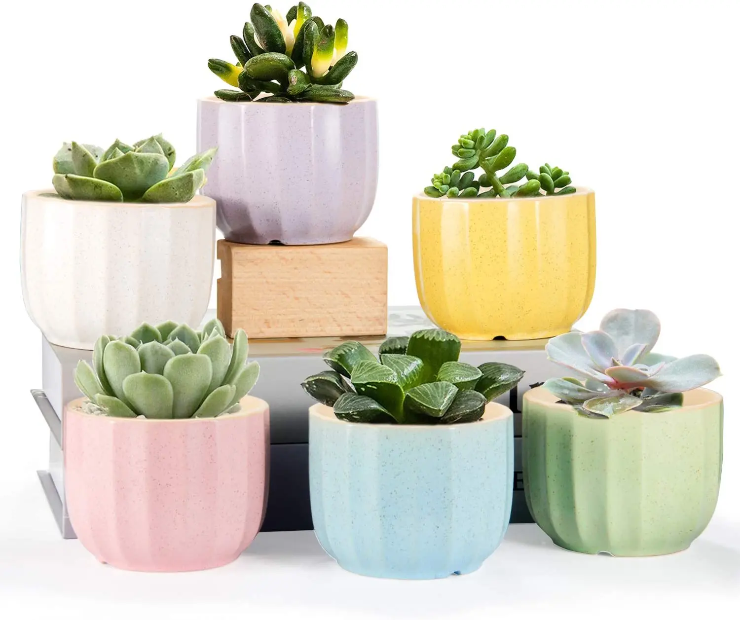 

3.7inch Succulent Pots 6 Pack/Set Colorful Ceramic Pots for Plants Gift Promotion, Black