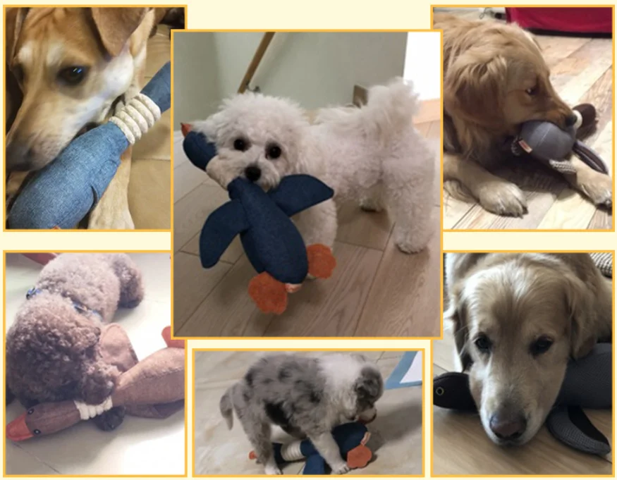 pet wild goose toy (2).png