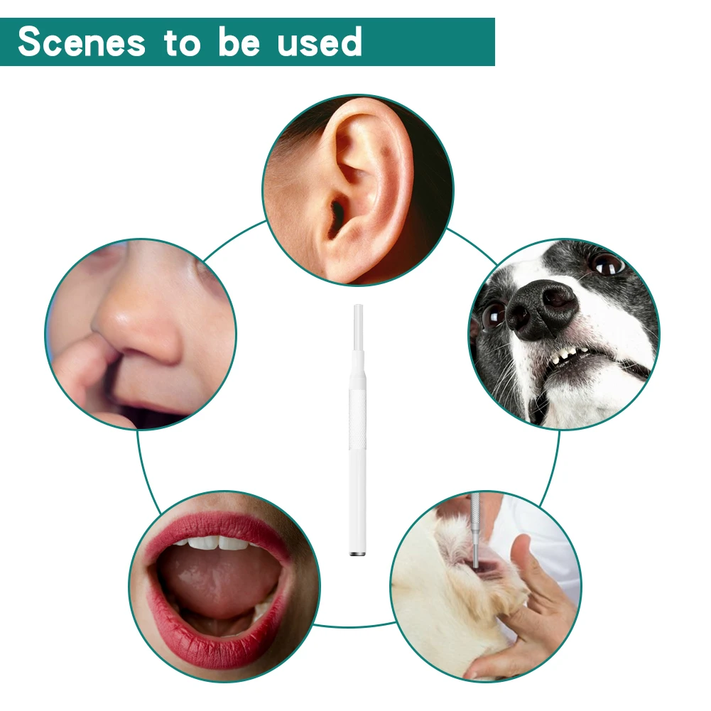 digital endoscope
