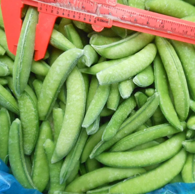 sugar snap pea 1 (1)