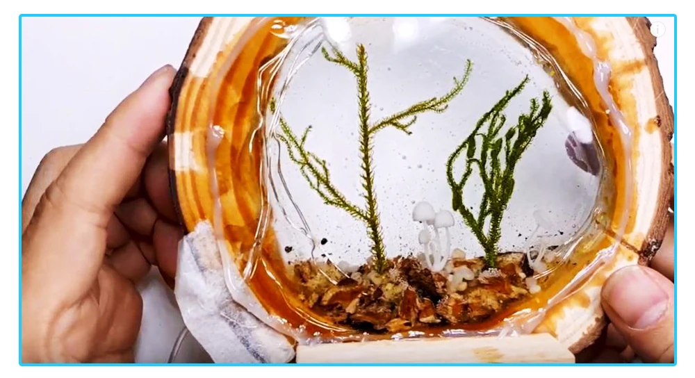 High Quality Low Cost Epoxy Resin Crystal Clear Casting 3d Epoxy Resin