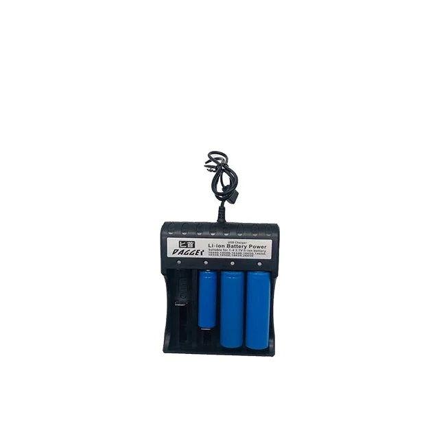 

Renlong rechargeable lifepo4 battery charger, Black