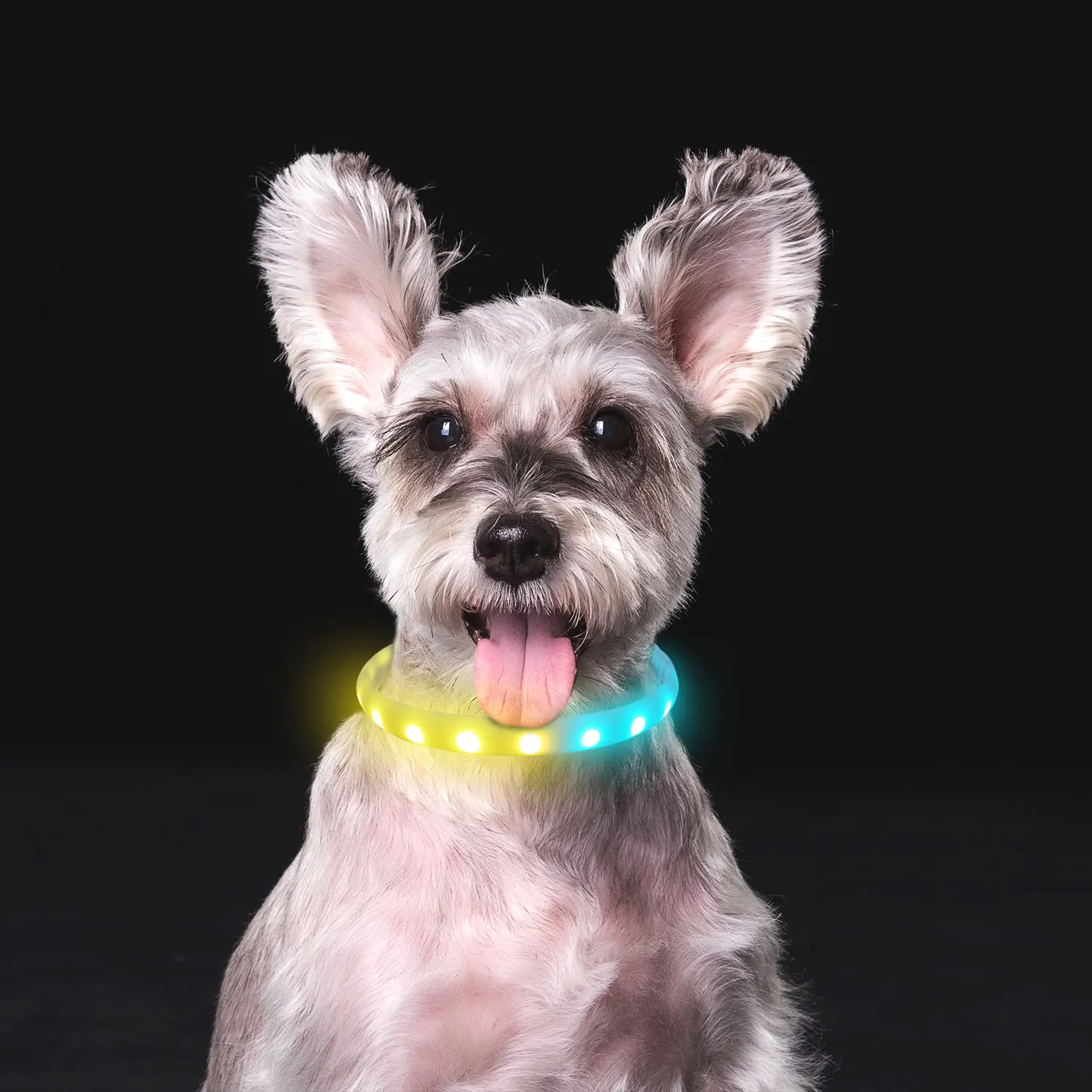 

new design silicone lighting up pet accessories waterproof usb led flashing Dog Collar, Red, orange, yellow, blue, green, pink, white