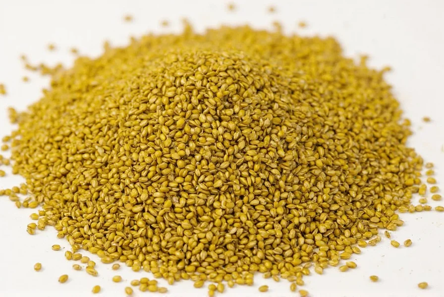 Mustard plants in full bloom showing yellow flowers and developing seed pods