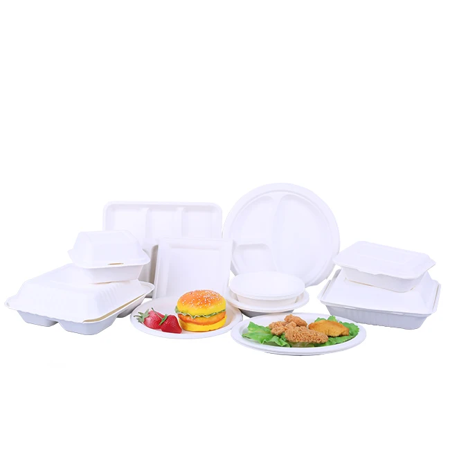 

Hot sale disposable sugarcane bagasse food container biodegradable sugarcane food containers, White