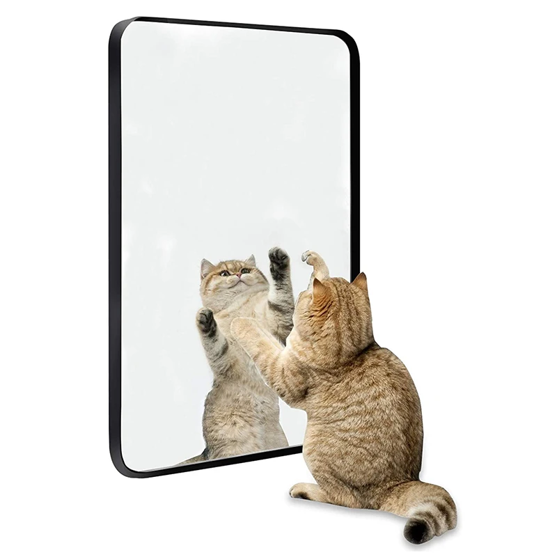 

Jinn Home Black Rectangle Wall Mirror Standing Table Mirror Bedroom Bathroom