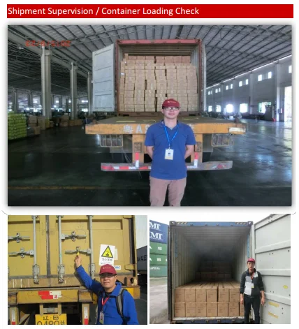 paste-pic-dp_uuid_ilacl