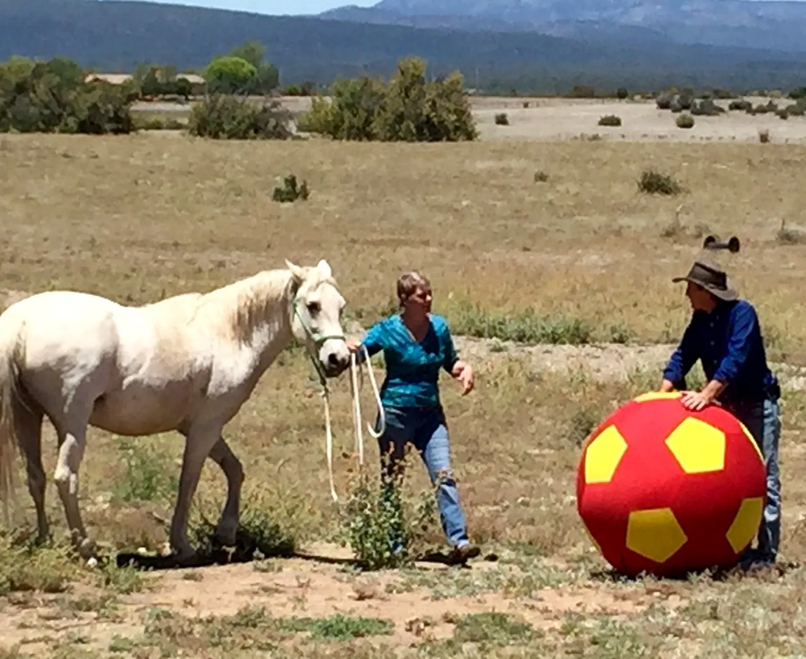 Horse balls. Horseplay.