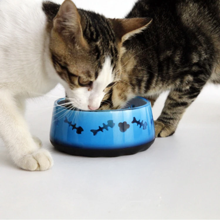 

Amazon style ceramics Luxury tailored special bone design Splash-free cat pet bowl