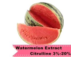 13 Watermelon extract.png