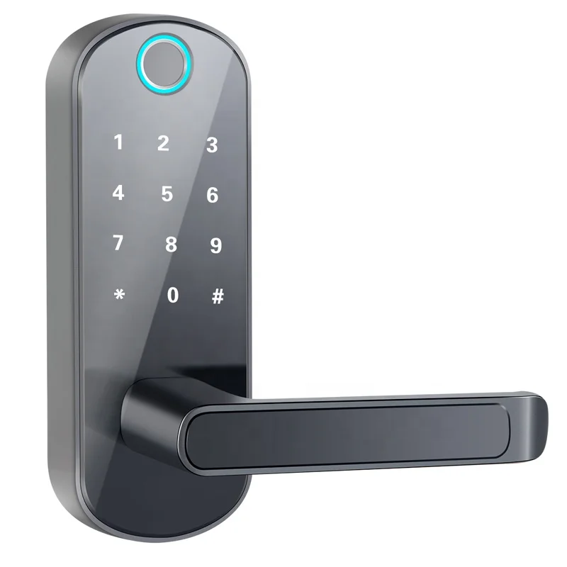 Single Bolt Fingerprint Code Door Lock Password APP Control For Airbnb Hot Sale in the US