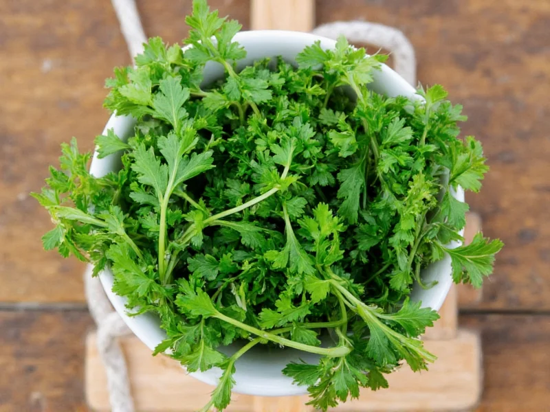 Fresh Herbs to Dry Ratio: The Complete Conversion Guide