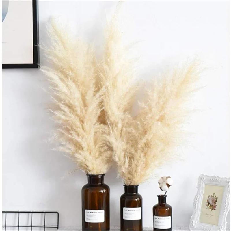 

Real Dry Flower Natural Pampas Grass For Home Decoration