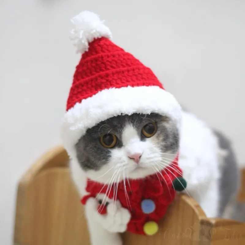 

Santa Plush Cat Hat
