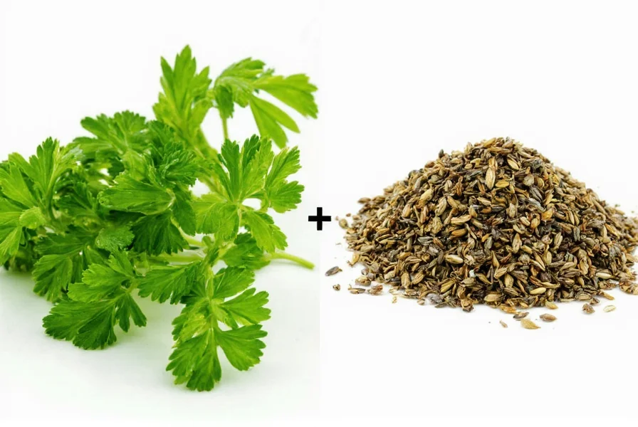 Air drying parsley