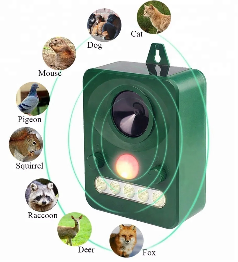 

Amazon Best Seller in Summer Bird Repeller Solar Animal Ultrasonic Repeller