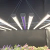 Avatar intelligent hydroponic grow indoor cultivo uv ir full spectrum plant light