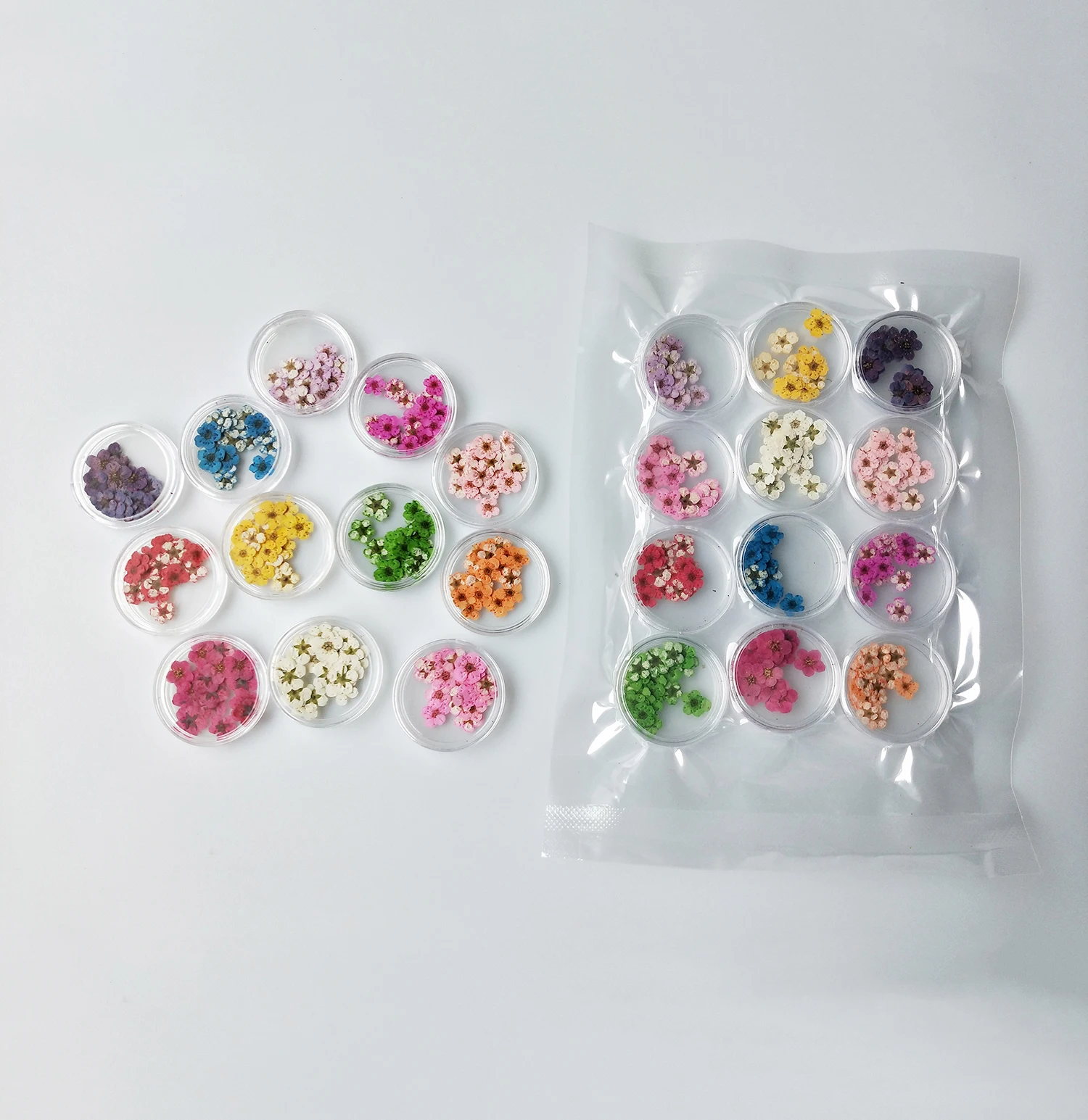 

12 colors hot sale nail art pressed dry flower nature dried flowers for UV gel acrylic nail art