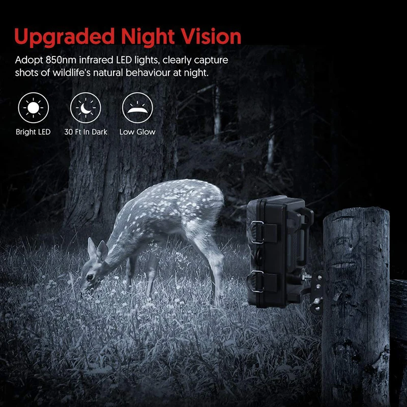Trailcamera (9).jpg