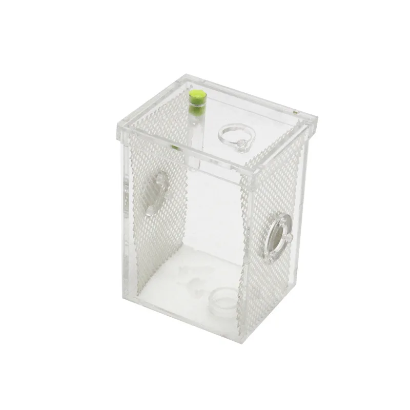 

Mantis Reptile Calling insect moisturizing feeding box Acrylic insect feeding box