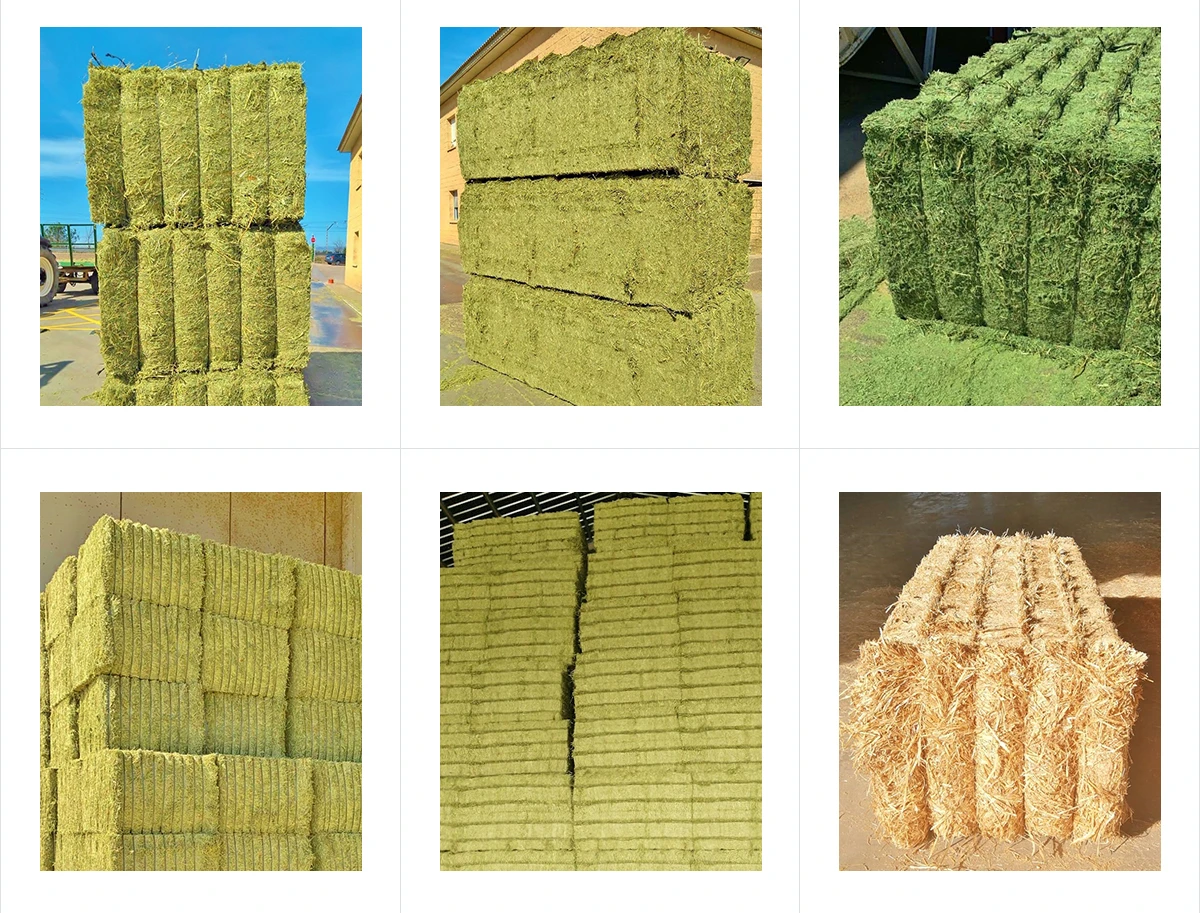 Velman Agro - Alfalfa Bales, Pellet Alfalfa