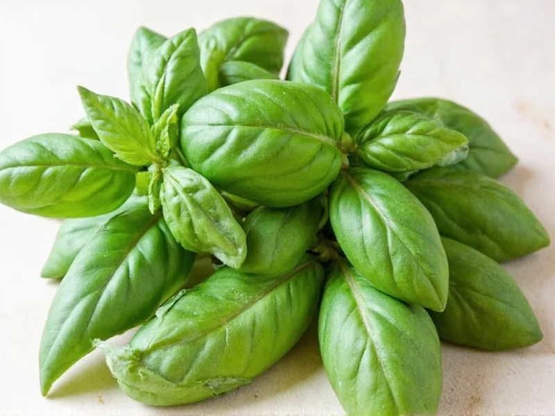 Fresh to Dried Basil Conversion: The 3:1 Ratio Explained