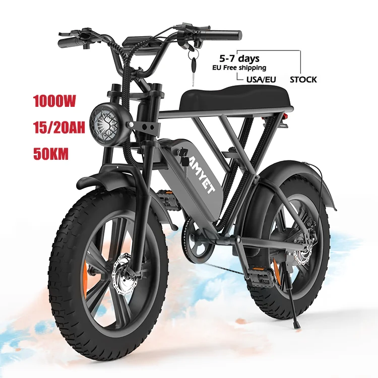 

48v 1000w electric bike with color LCD display family ebike made in china bicycle factory