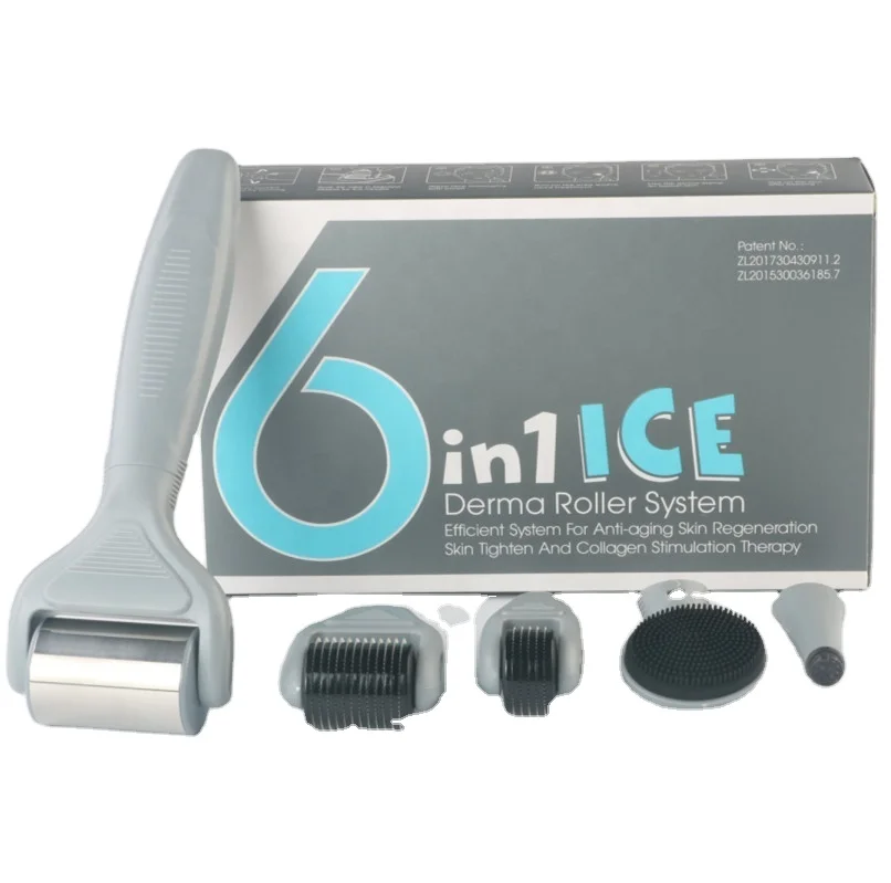

2021 new beauty metalic ice globes roller High quality ice roller derma 6 in 1 needles derma roller, White, grey