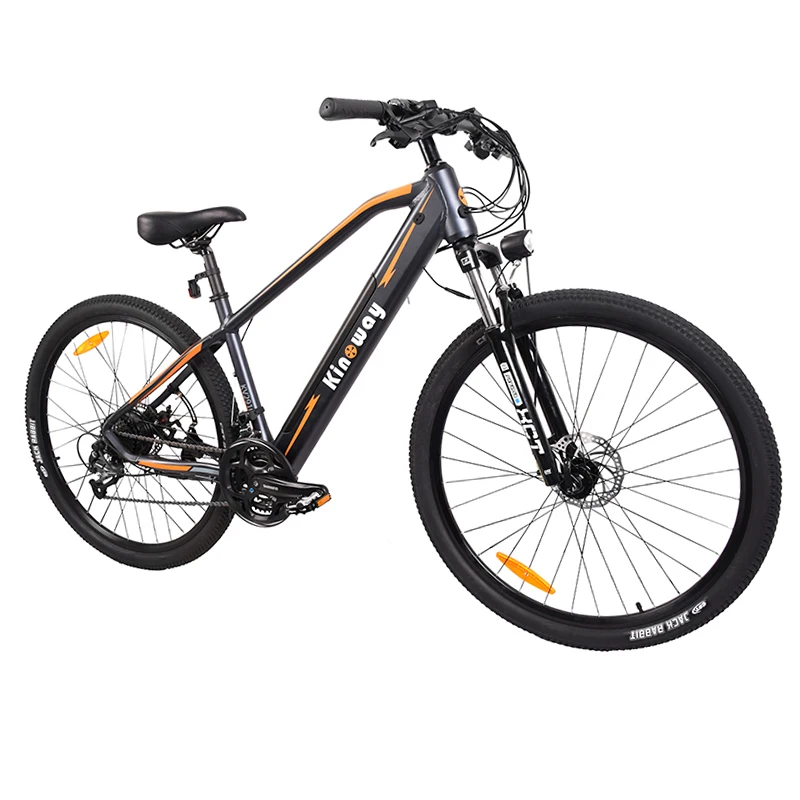 

350W/500W/750W/1000W High Power Electric Bike for Adult with Samsung Batteries, Color customied