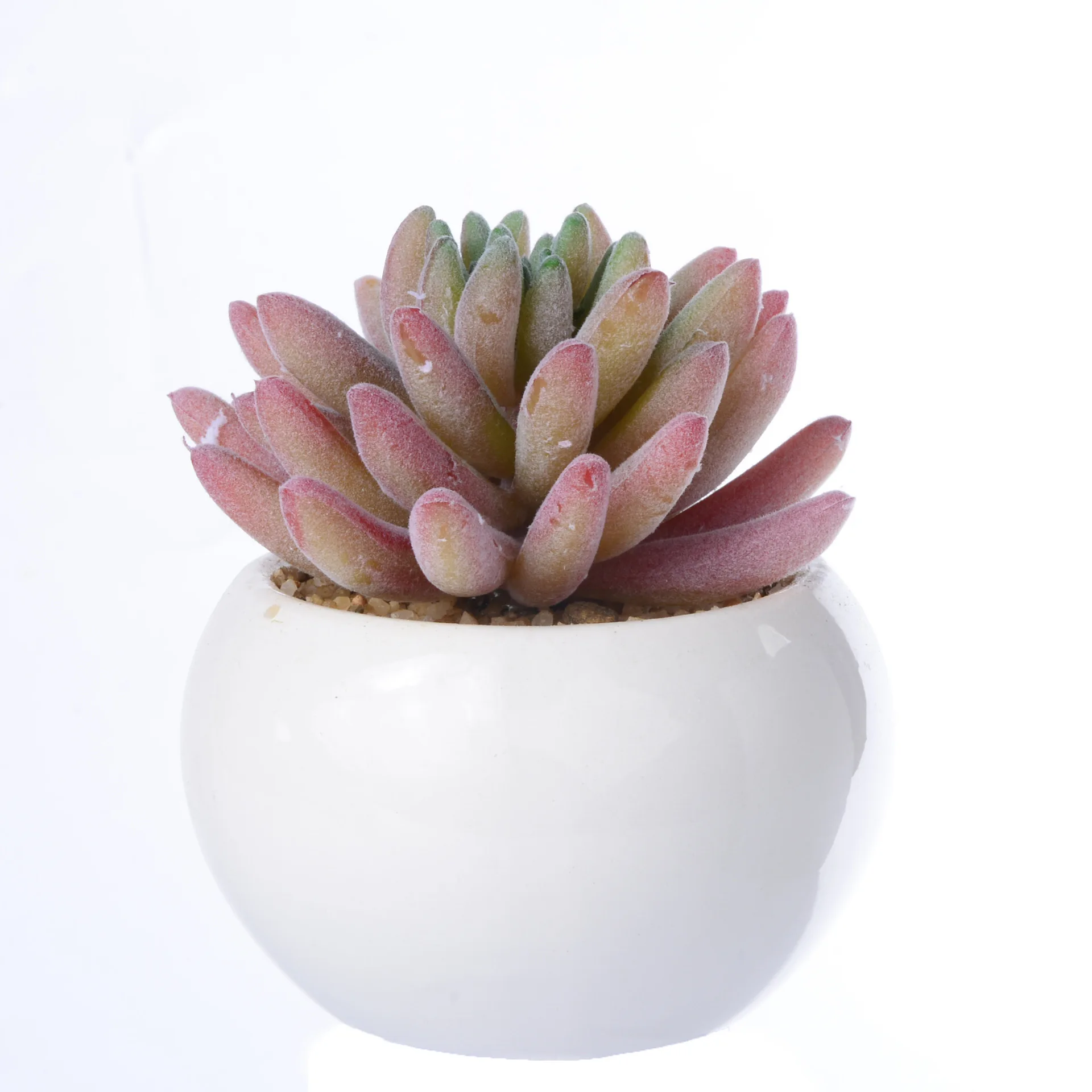 

Creative Ornaments Of fleshy Flowerpots Artistic Floral Decorations.