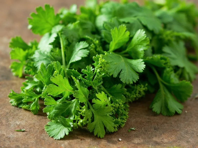 Is Cilantro a Type of Parsley? Clearing the Confusion