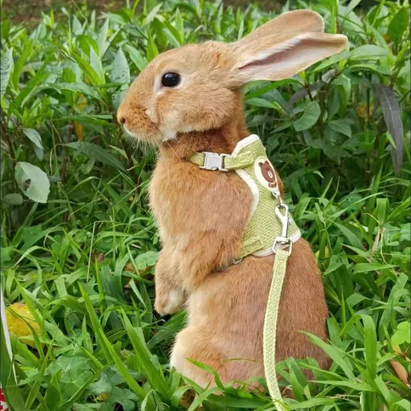 

Newest Cute Rabbit Harness Leash Set Bunny Pet Accessories Vest Clothes for Rabbit Pet Leashes Outdoor Walking Pets Supplies