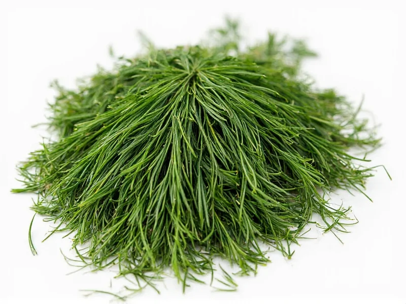 Dried Dill Substitute Ratio: How to Replace Fresh Dill