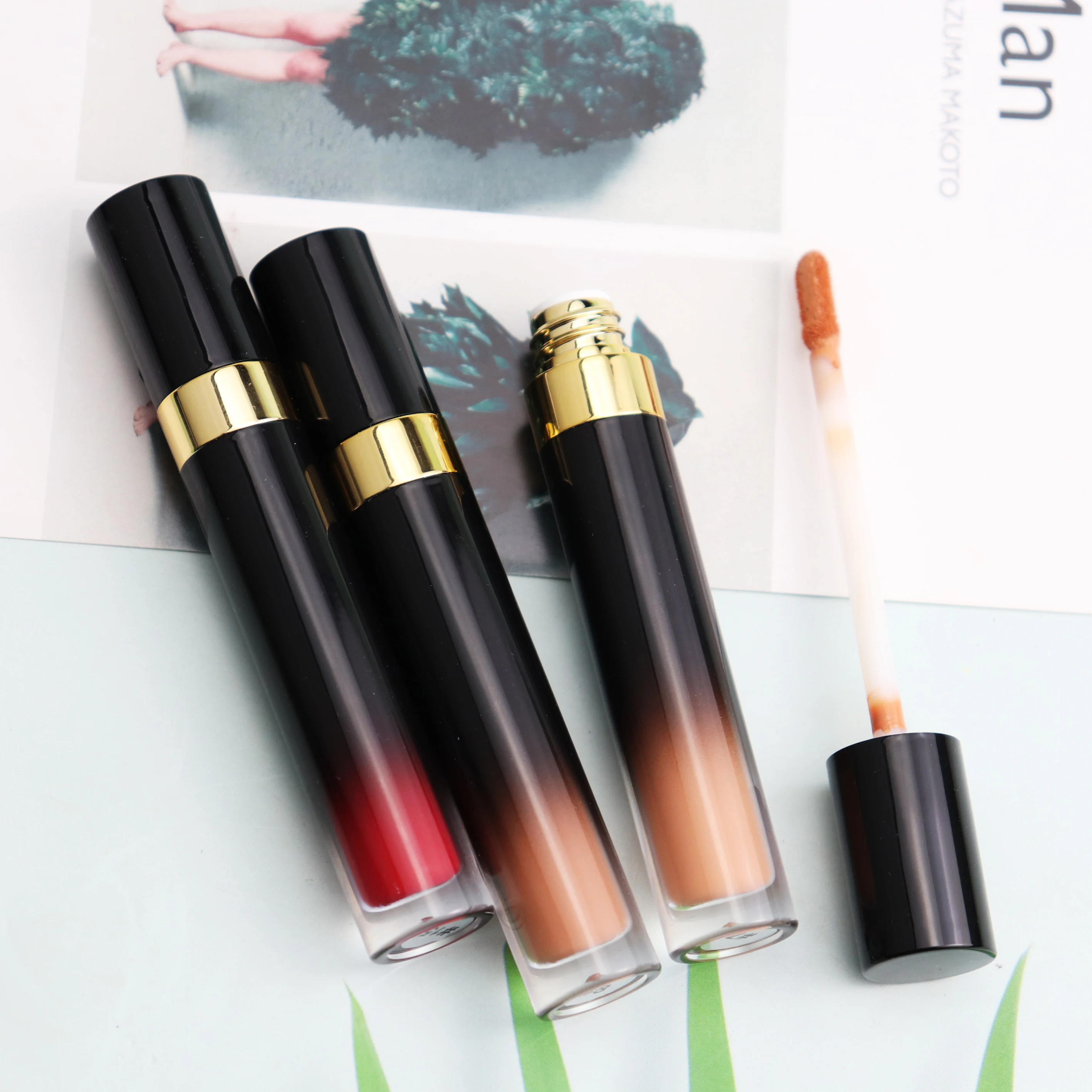 

Wholesale Private Label Long-lasting Cosmetics Famous Lip Gloss Colorful Color Lipgloss