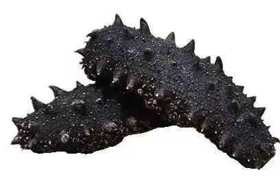 
Dried and Frozen Sea Cucumbers Cleaned 