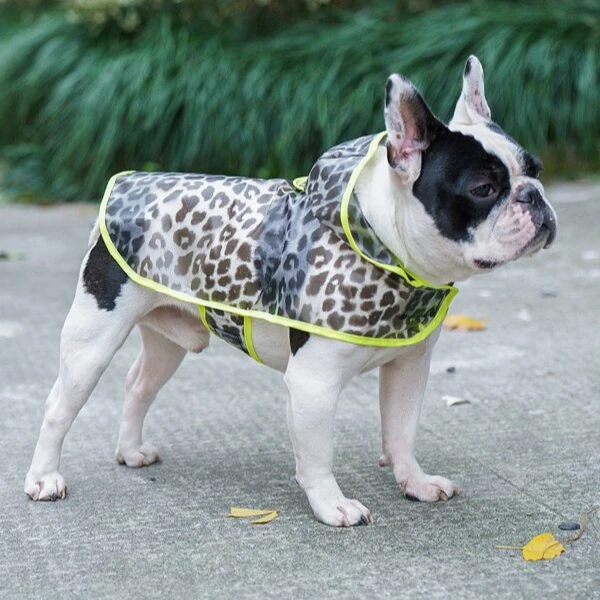 

2021luxury pet rabbit clothes hot Pet Cloth summer Butterfly Pet Dog Shirt supplier