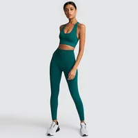 

Women Fitness Clothing Sportswear Woman Gym Leggings Padded Push-up Sports Bra and Leggings Seamless Yoga Set
