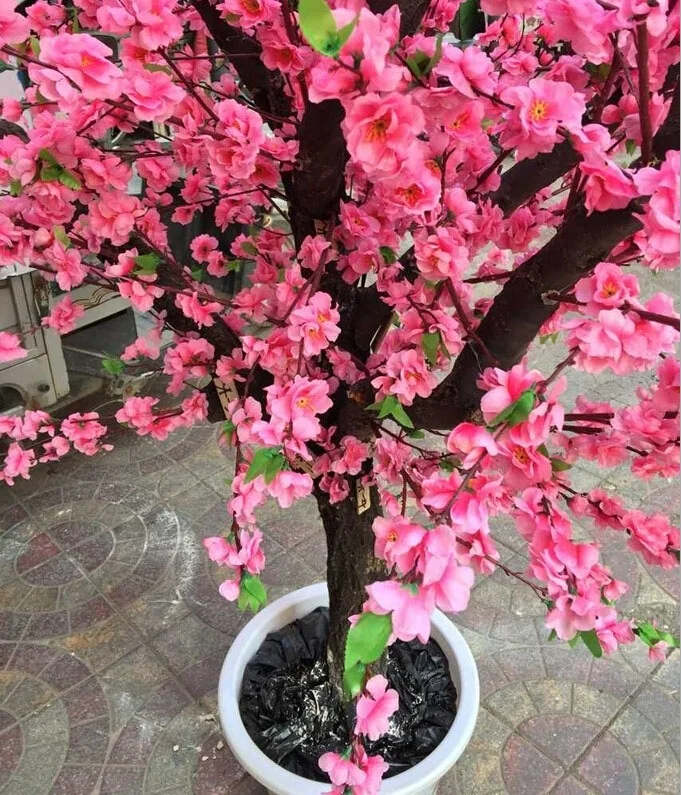 Cheap Artificial Cherry Blossom Tree Silk Cherry Blossom Trees Buy