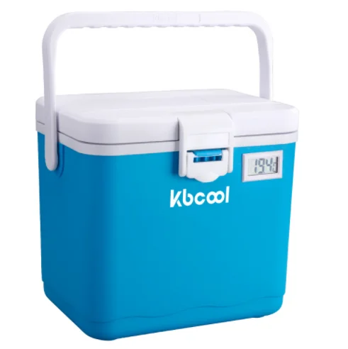 

6L Mini Foam Medical Drug Ice Cooler Insulin Vaccine Blood Transport Box Keep for 24 Hours, Any pantone colors